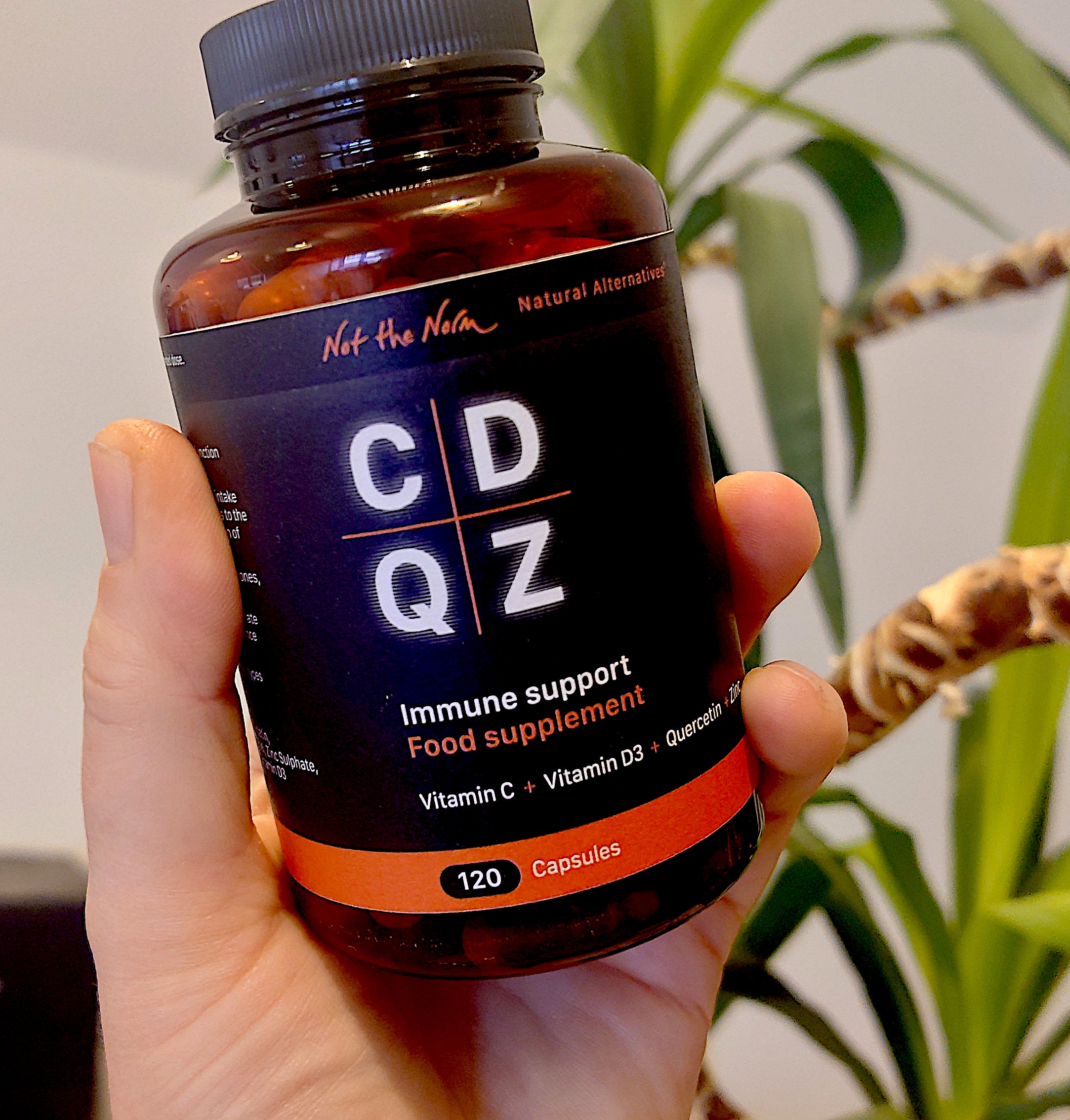 CDQZ - Immune Support with Quercetin & Zinc
