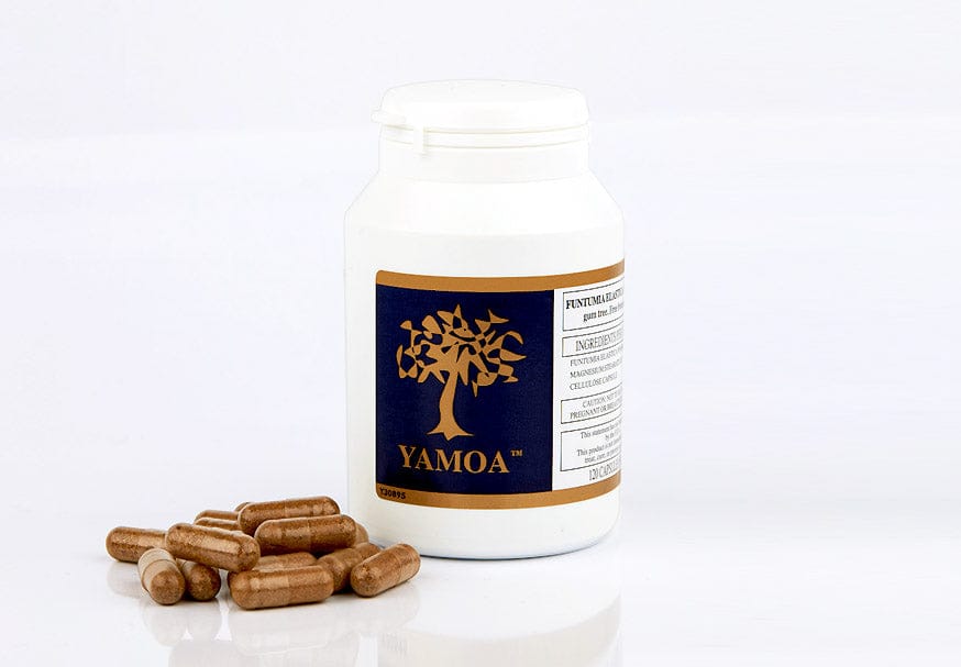 Yamoa™ Funtumia elastica, Not the Norm, Supplement, Respiratory health, Asthma, Hayfever, Healing, powder, 60 capsules, 120 capsules, 100% plant based