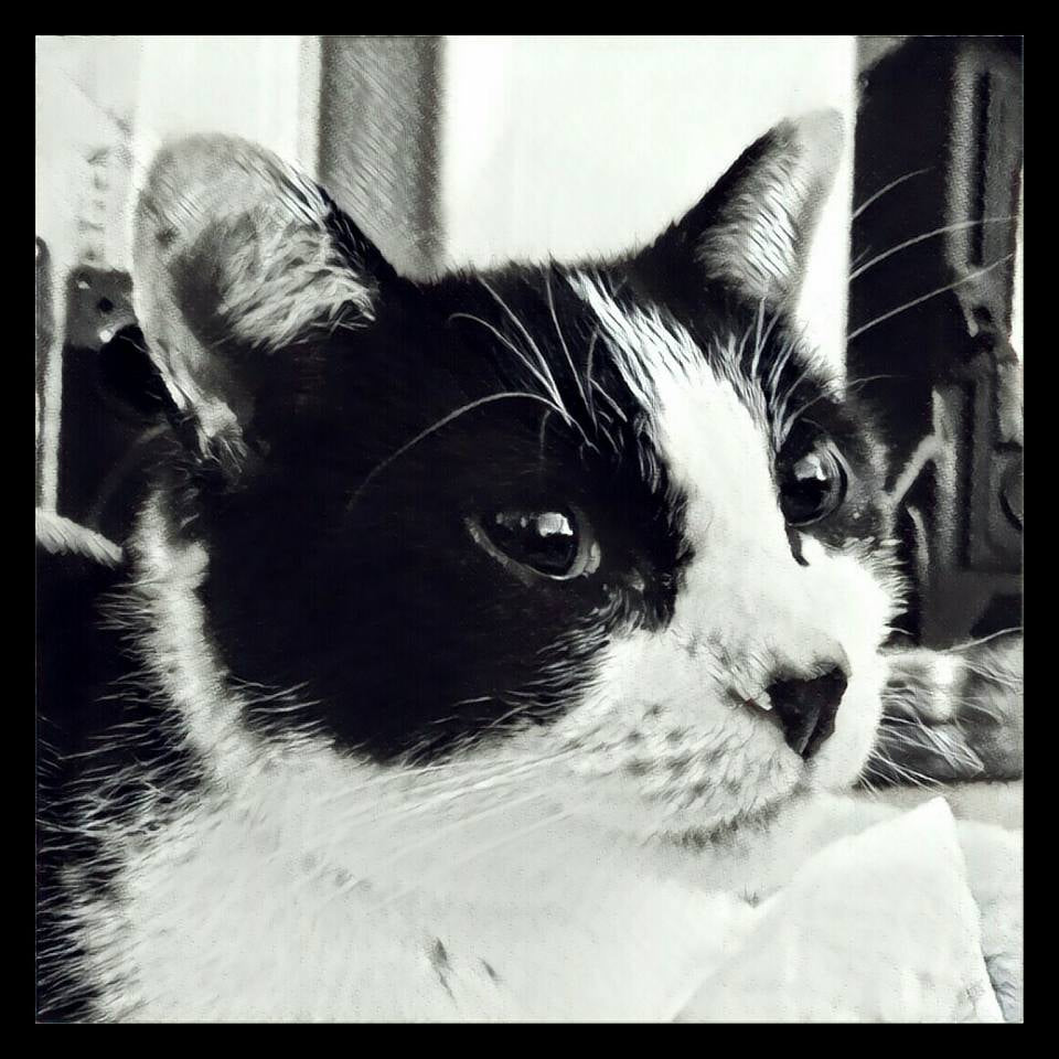 The dangers of man-made vitamins and minerals