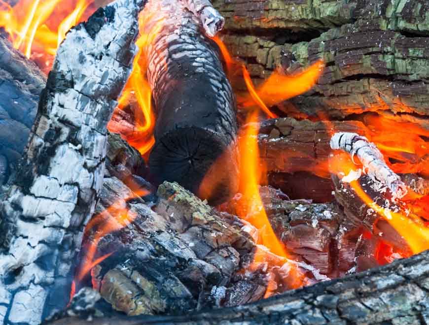 Nature’s Safest, Most Effective Daily Detox?