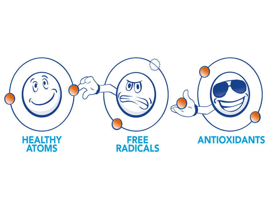 The free radicals and antioxidant balancing act