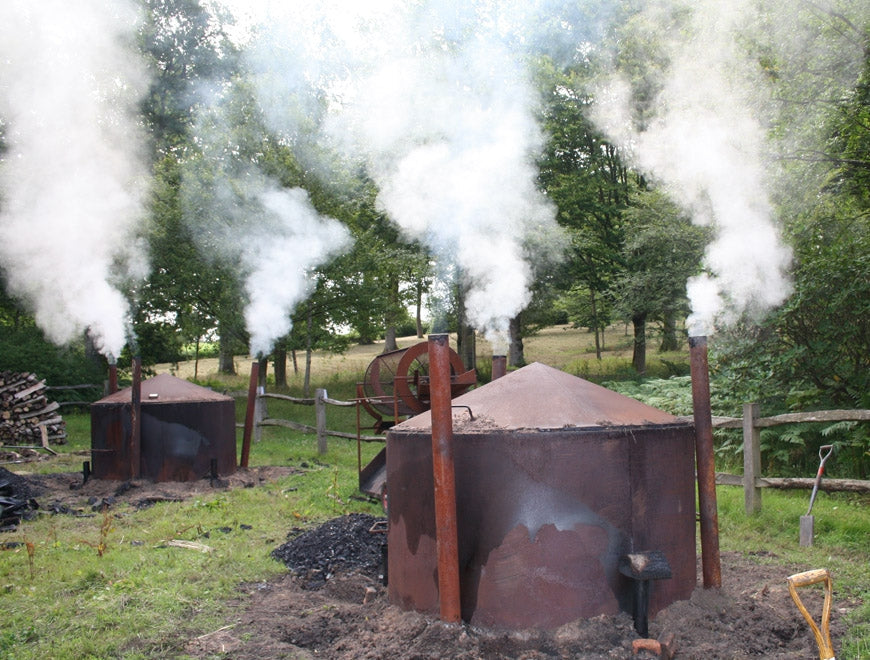 Charcoal: an ancient remedy