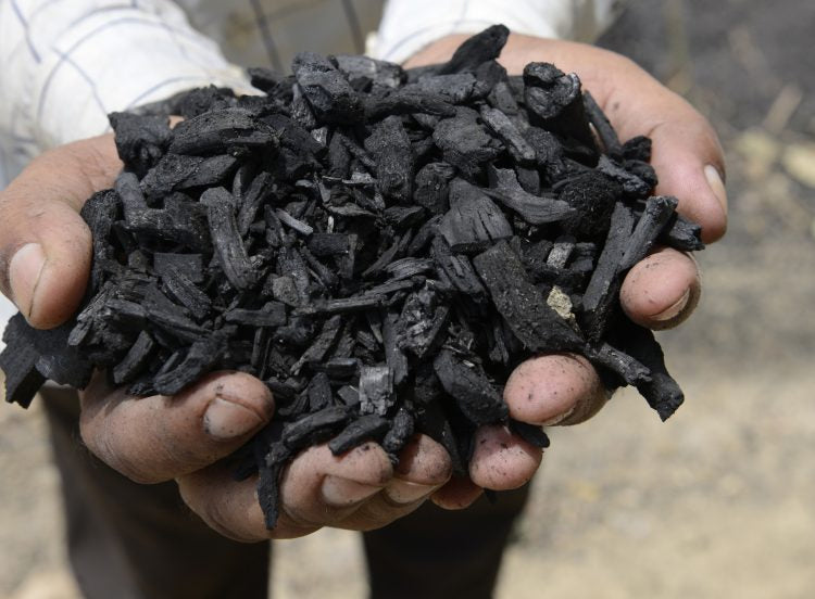 Charcoal: An ancient remedy