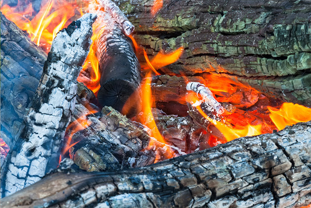 Why we eat burnt wood