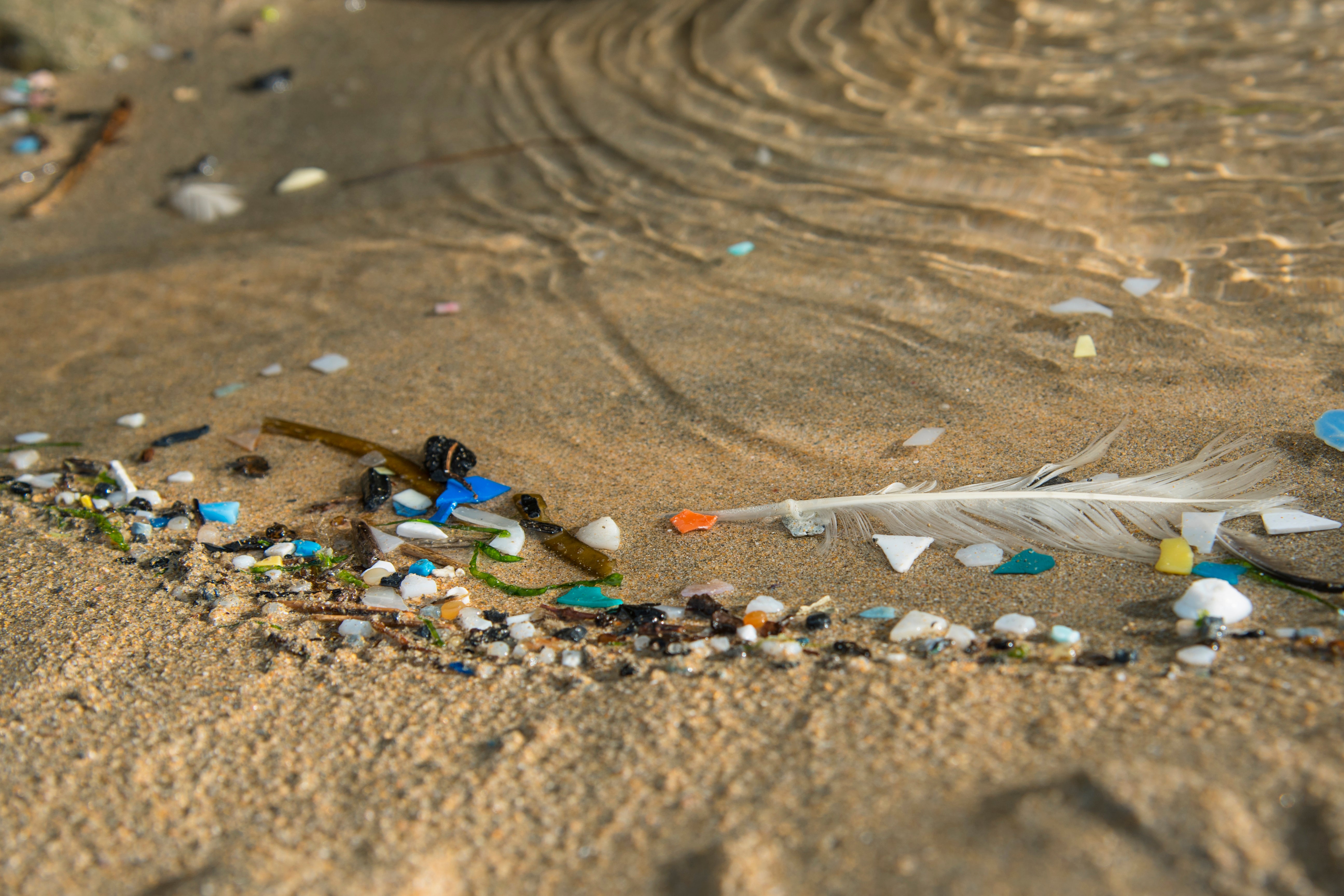 Battling Plastic Pollution: A Call to Action