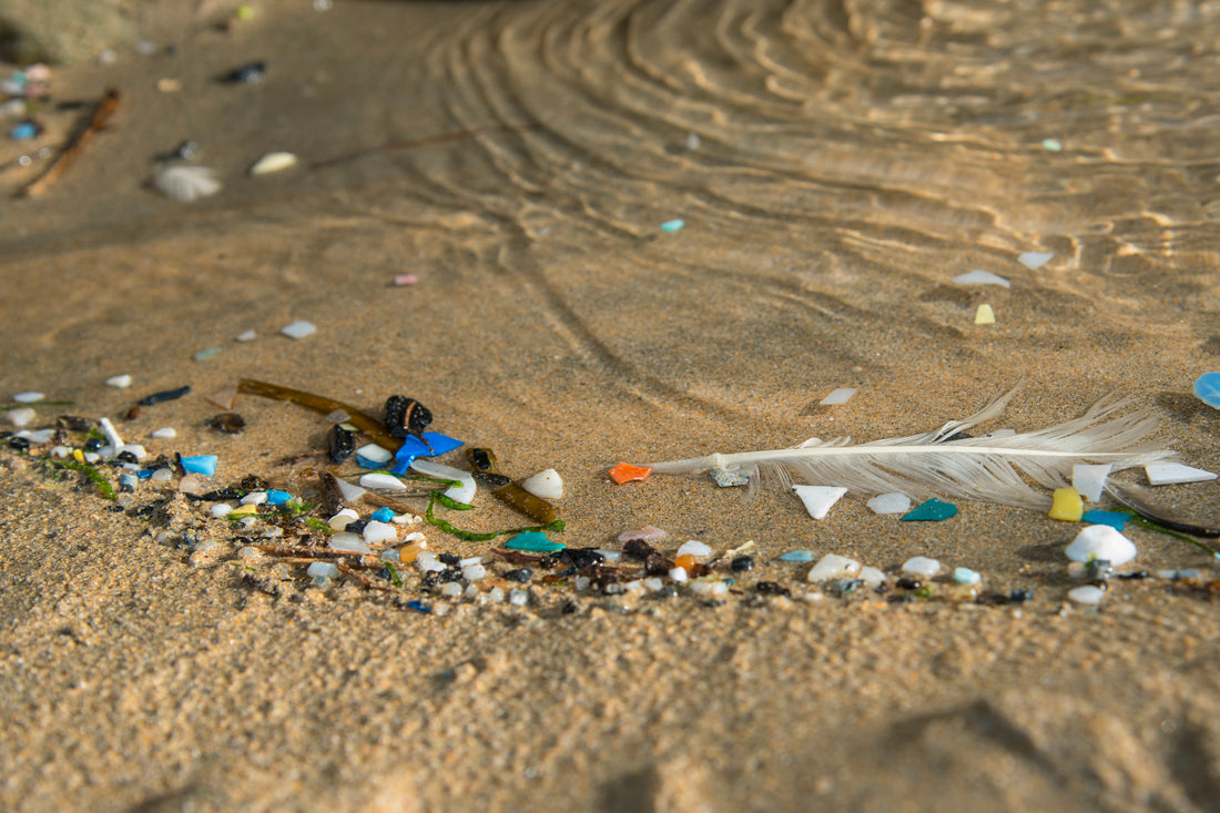 Battling Plastic Pollution: A Call to Action