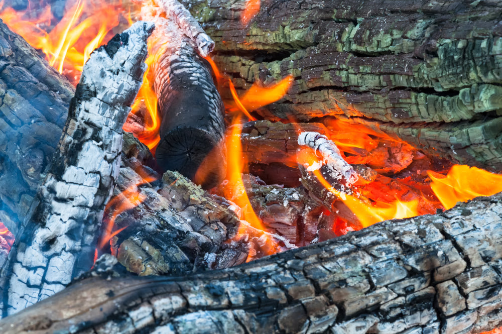 Why we eat burnt wood