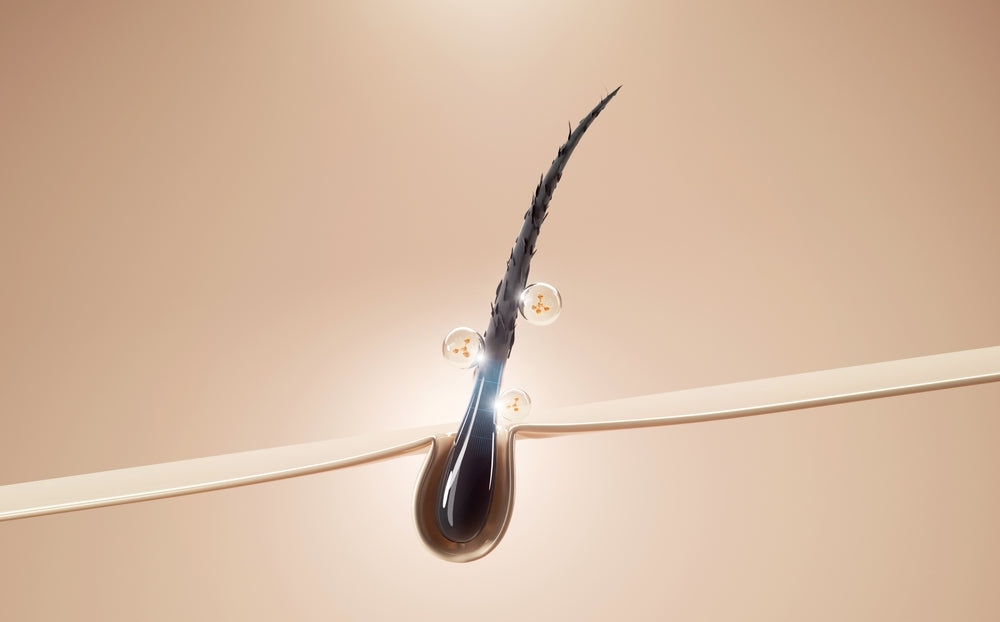 Help Your Hair Remember What It’s Supposed to Do