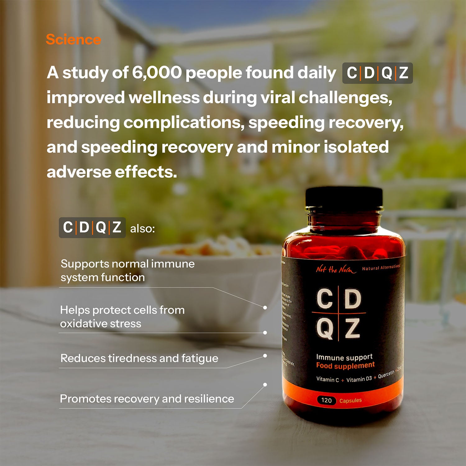 CDQZ - Immune Support with Quercetin & Zinc – Not the Norm Natural