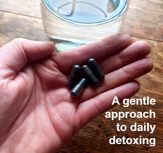 Non-Activated Hardwood Charcoal Capsules - Digestive & Daily Detox Support