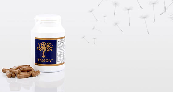 Respiratory Support - Yamoa