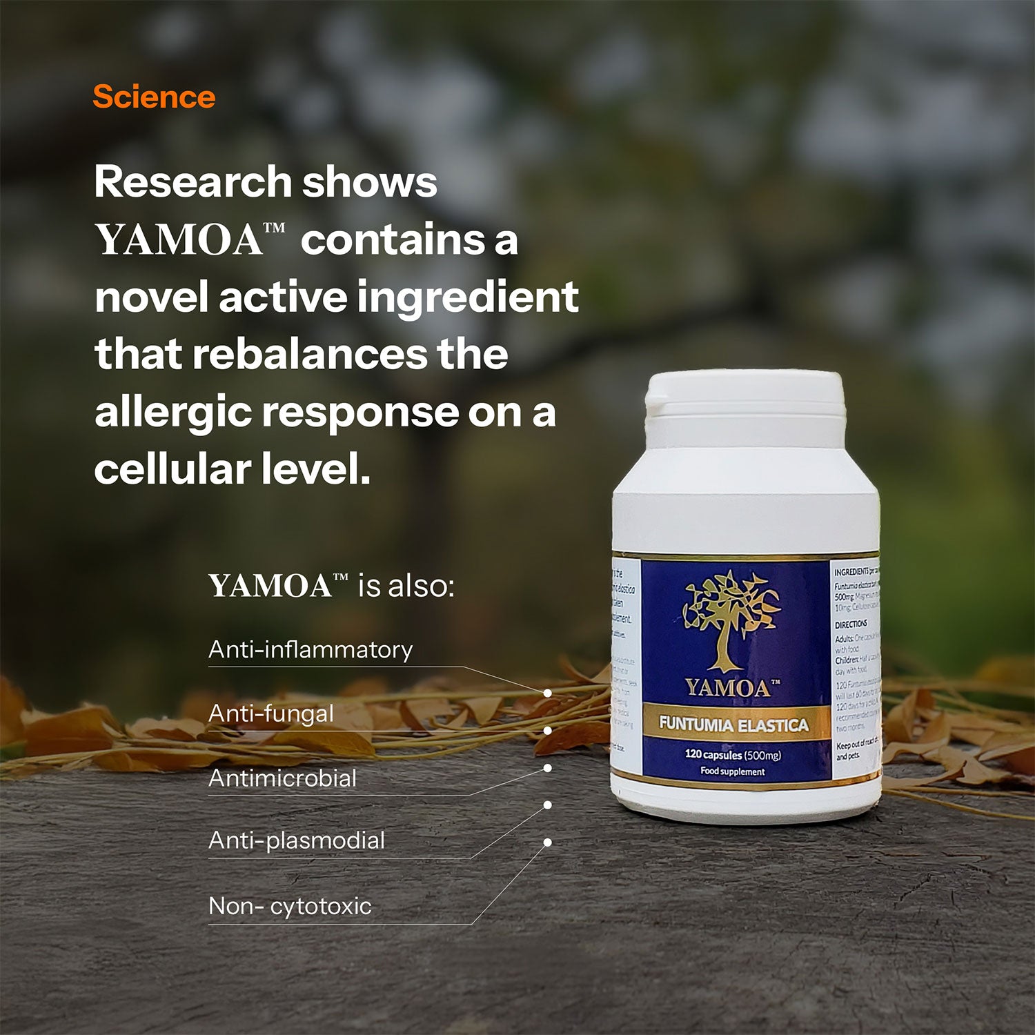 Yamoa Immune and Respiratory Support