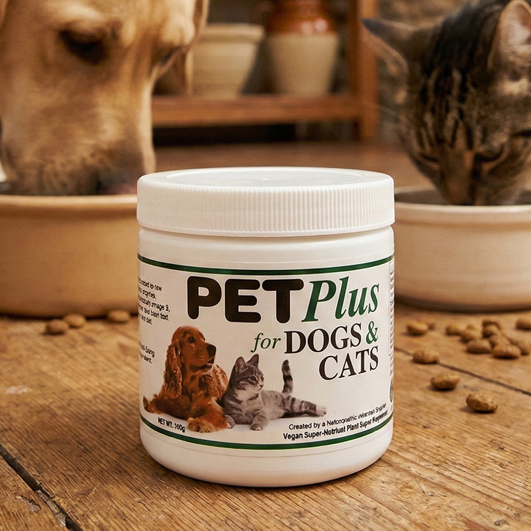 Pet Plus Program PET Plus - Food Supplement - Dogs And Cats - PET Plus Vet – Not the ...
