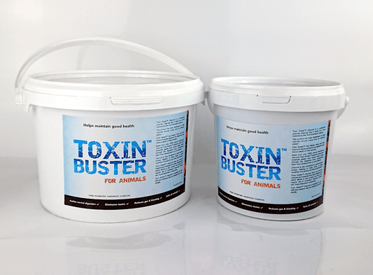 Toxin Buster™ Charcoal For Animals, gut health, detox, Immune health